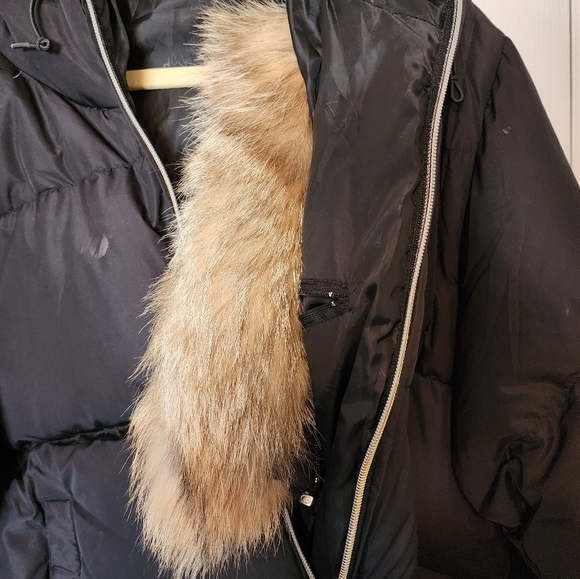 Baby Phat Black Puffer Jacket Zipper Fur Hood - Picture 8 of 8